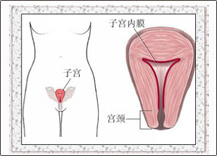 子宮出血如何醫治？